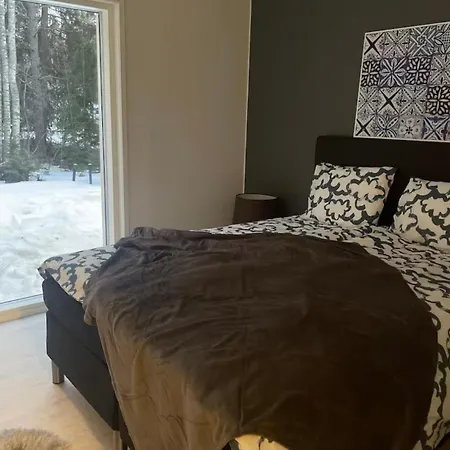 Kaemmenniemi * 坦佩雷