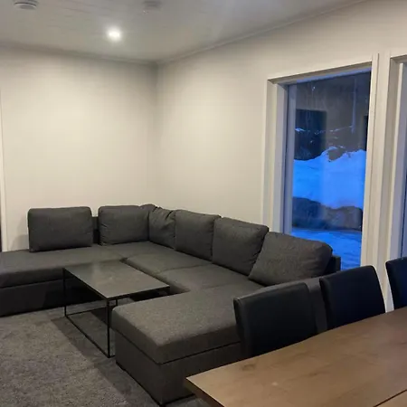 Kaemmenniemi 别墅 *